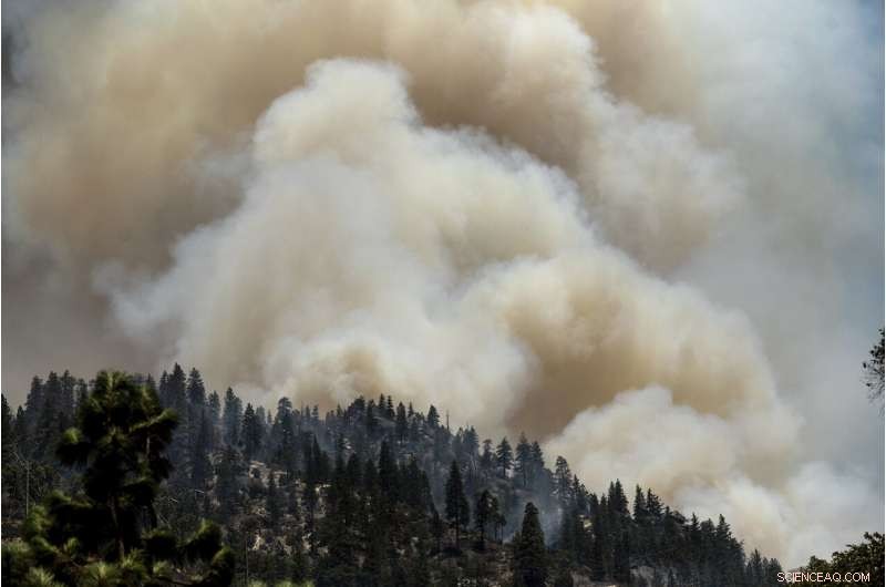 California Wildfire Near Lake Tahoe Spurs Evacuation Orders; Oregon Blaze Escalates