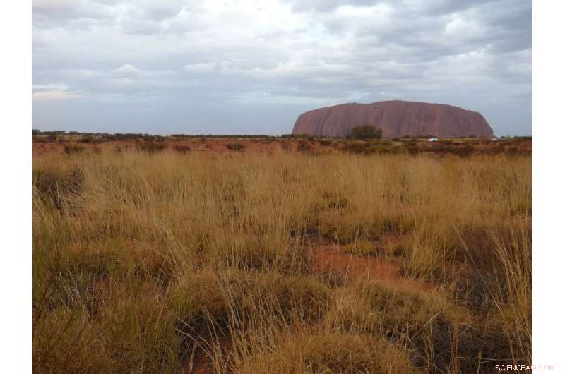 Discovering a New Exploration Marker Enhances Mineral Prospecting in Western Australia