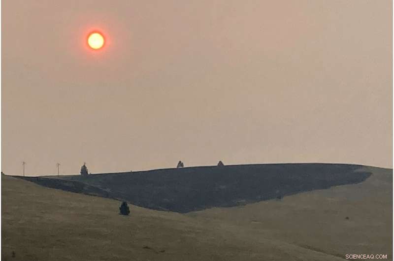 Oregon Wildfire s Massive Spread Highlights the Vastness of the U.S. West