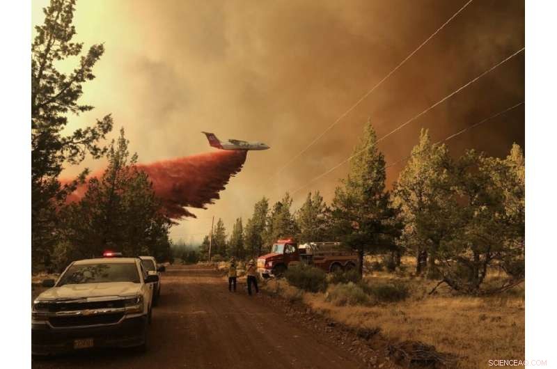 Western Canada Declares Fire Emergency Amid Escalating Evacuations