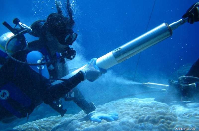 Review Confirms Intensifying Indian Ocean Water Cycle, Strengthening Climate Change Evidence