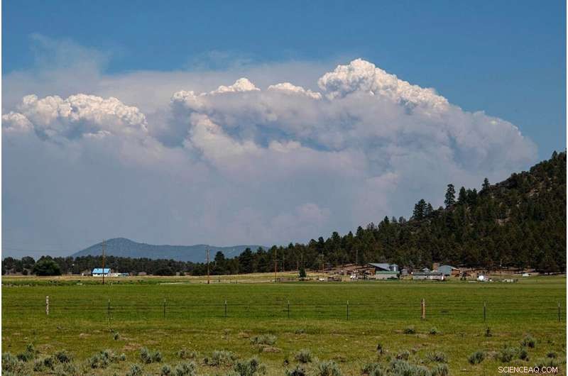 Wildfire Smoke Spread: Who Is at Risk?