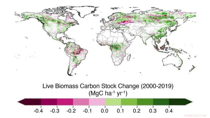 NASA Study Reveals Declining Carbon‑Absorption Capacity of Tropical Forests