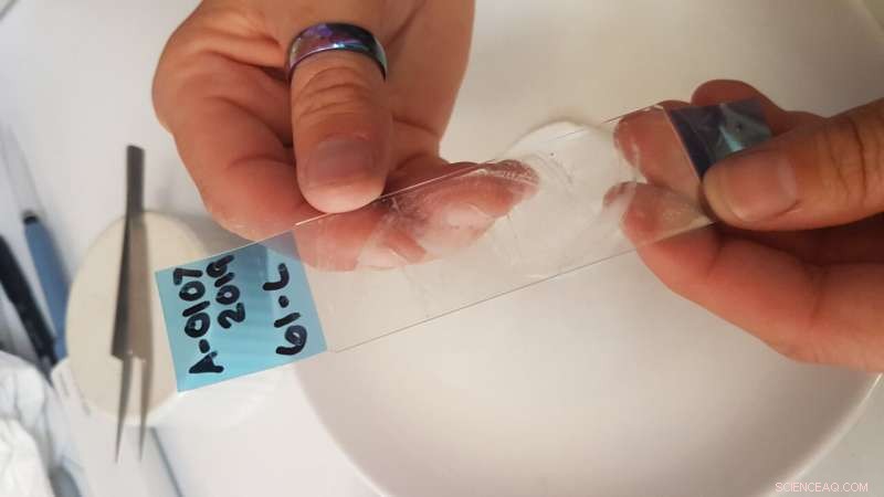 Revolutionary Crime Scene Tape to Advance Microplastics Research