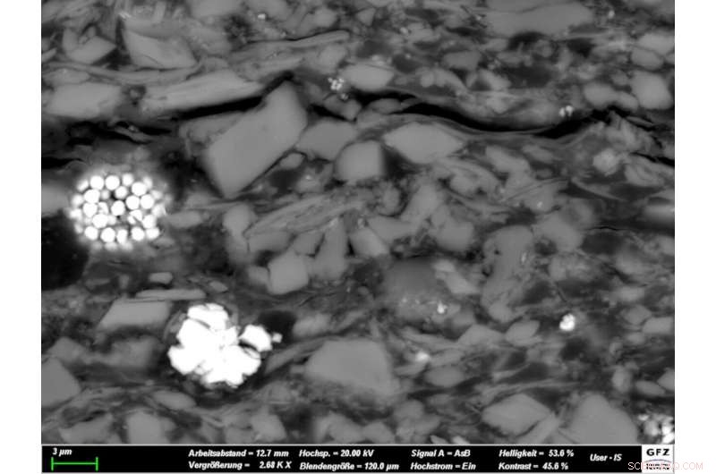 Alum Shale: Insights into Coastal Deposits and Mineral Composition