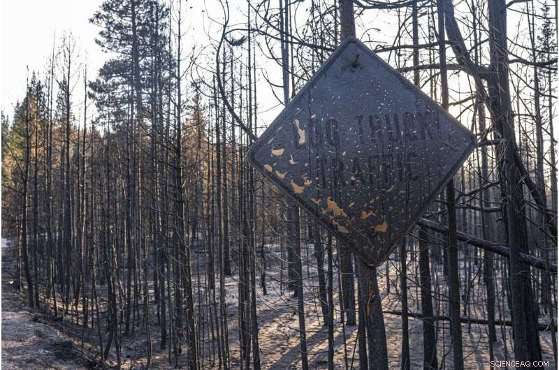 Western Wildfires Expand, Favorable Weather Aids Firefighting Efforts