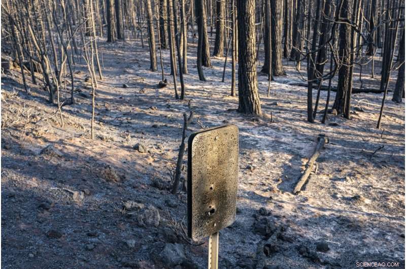 Western Wildfires Expand, Favorable Weather Aids Firefighting Efforts