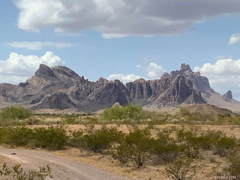 Analyzing Crustal Motion and Strain Rates in the Southern Basin and Range Province