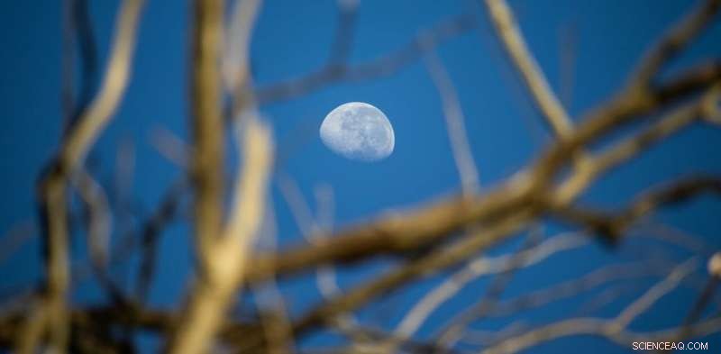 Moon’s Wobble May Exacerbate Coastal Flooding in Australia—Key Impacts Explained