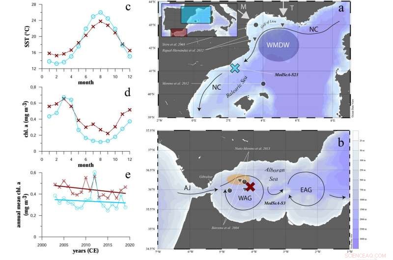 Human-Made Climate Change Alters Plankton Populations in the Mediterranean Sea