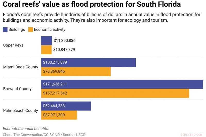 Beyond 20‑Foot Sea Walls: Living Structures Protect Miami’s Coasts