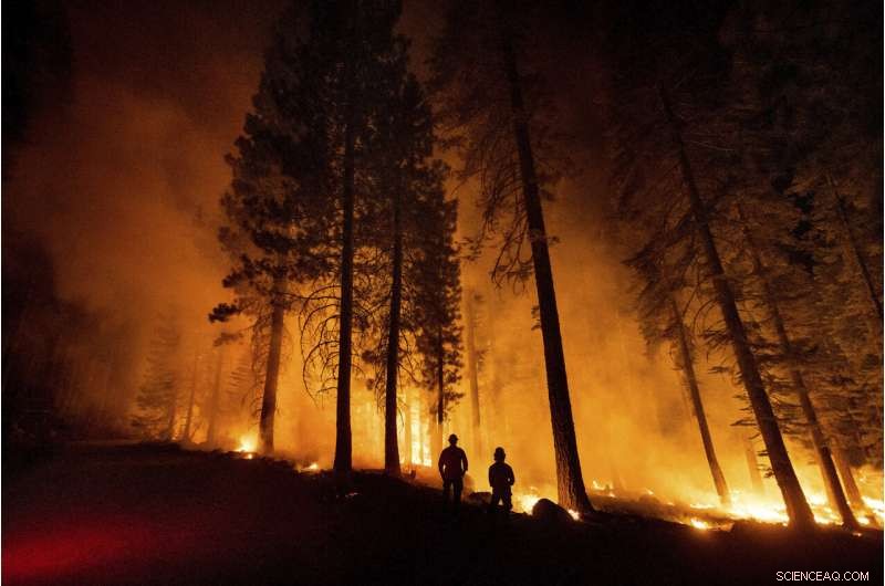 Western Wildfires Subside with Cooler Weather, Yet Damage Toll Rises