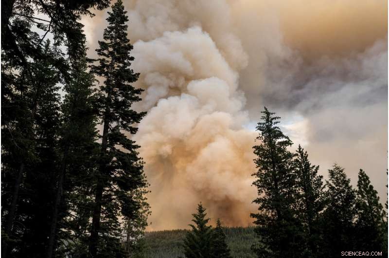 Western Wildfires Subside with Cooler Weather, Yet Damage Toll Rises
