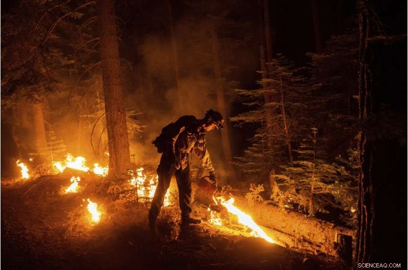 Western Wildfires Subside with Cooler Weather, Yet Damage Toll Rises