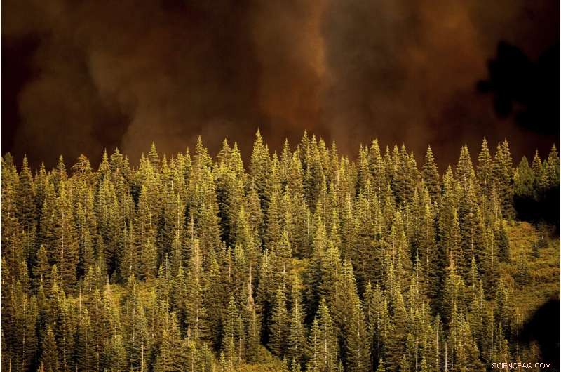 Western Wildfires Subside with Cooler Weather, Yet Damage Toll Rises