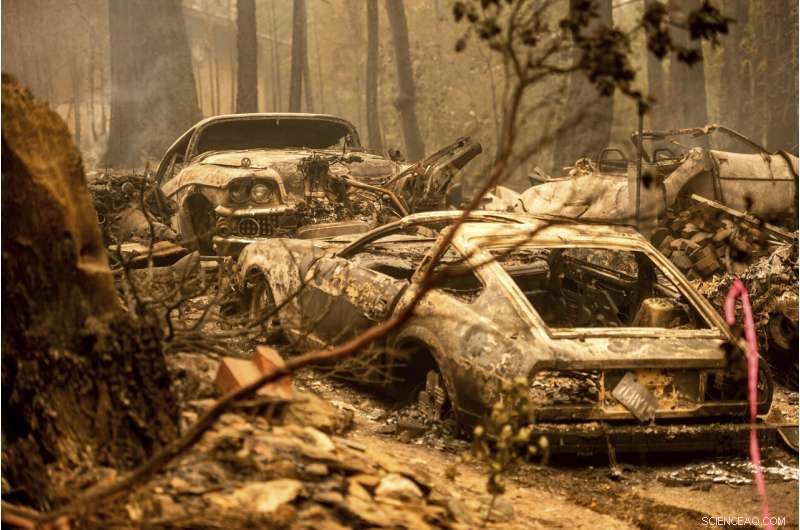 Western Wildfires Subside with Cooler Weather, Yet Damage Toll Rises