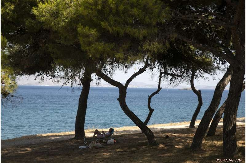 Southeast Europe Faces Record-Breaking Heatwave: The Most Intense Storm in Decades