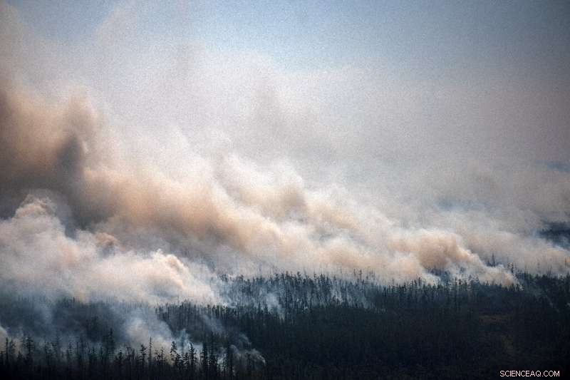 Siberian Firefighters Fight Blazes: Why More Hands Are Needed