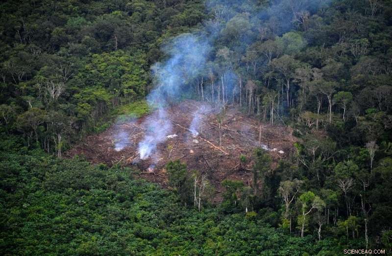 Human Impact Intensifies: Earth s Vital Signs Worsen