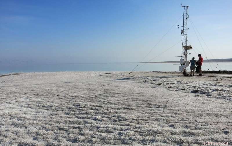 Dead Sea Decline: Causes, Risks, and the Fight to Preserve Its Vital Pulse