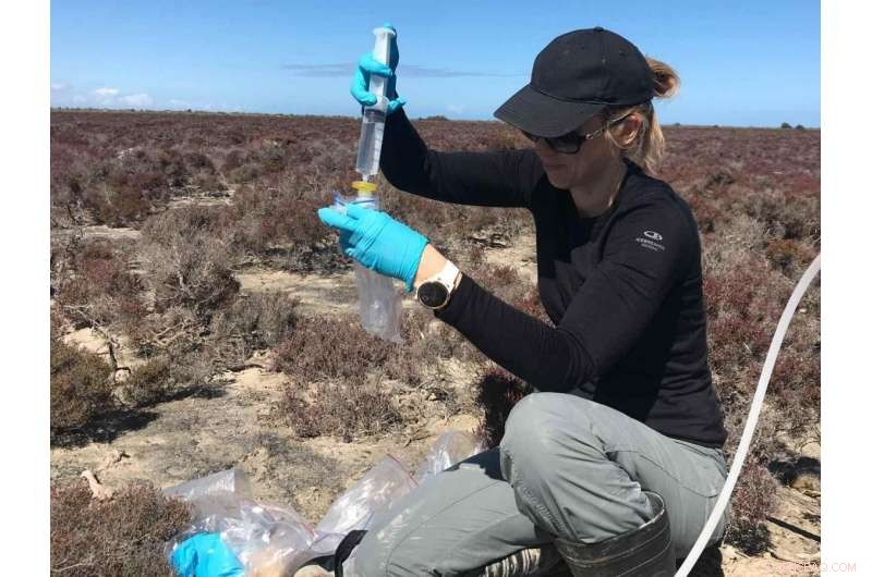 New Method Enables Rapid, Cost‑Effective Analysis of Sulfur Isotopes to Assess Sea‑Level Rise Impact