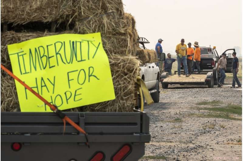 Homes Lose Water as Wells Dry Up in Drought-Stricken Basin