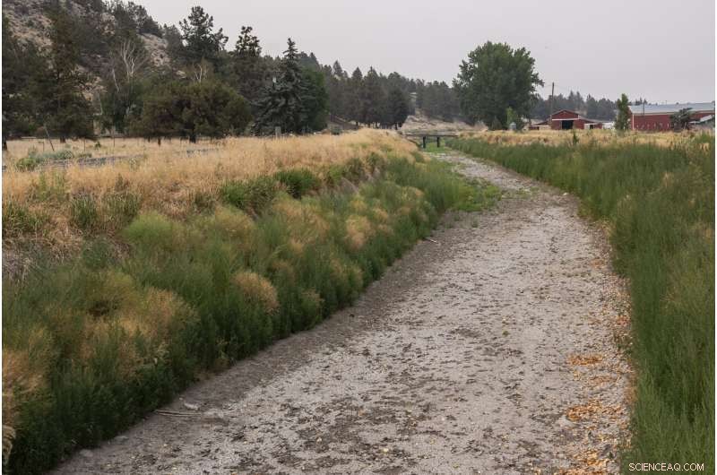 Homes Lose Water as Wells Dry Up in Drought-Stricken Basin