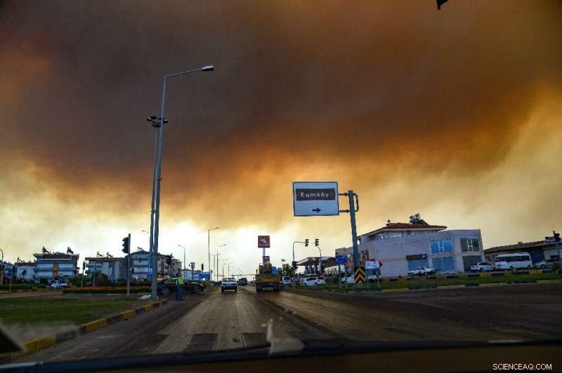 Fatal Forest Fires Erupt Near Turkish Resorts, Claiming Three Lives