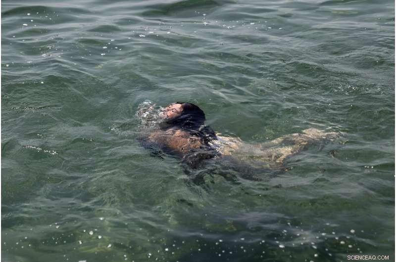 Greece Enhances Fire Patrols and Power Line Checks Amid Heat Emergency