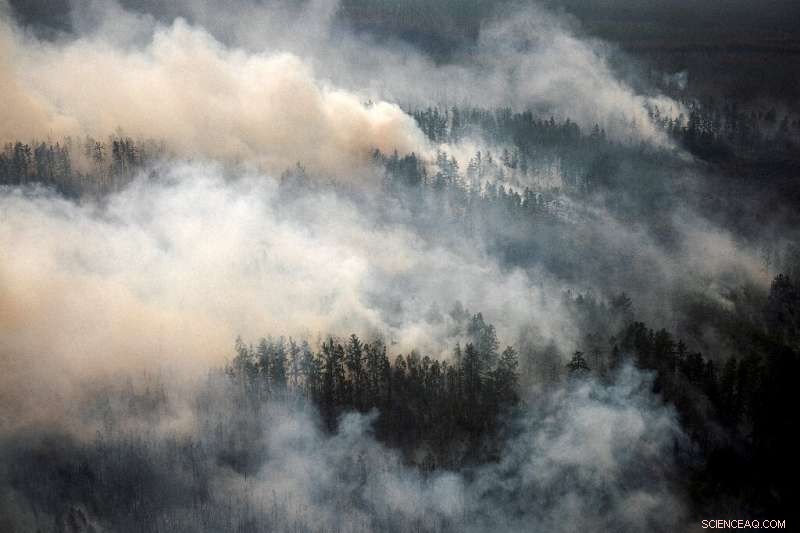 Siberia Battles Wildfires: Volunteers Rally to Protect the Homeland