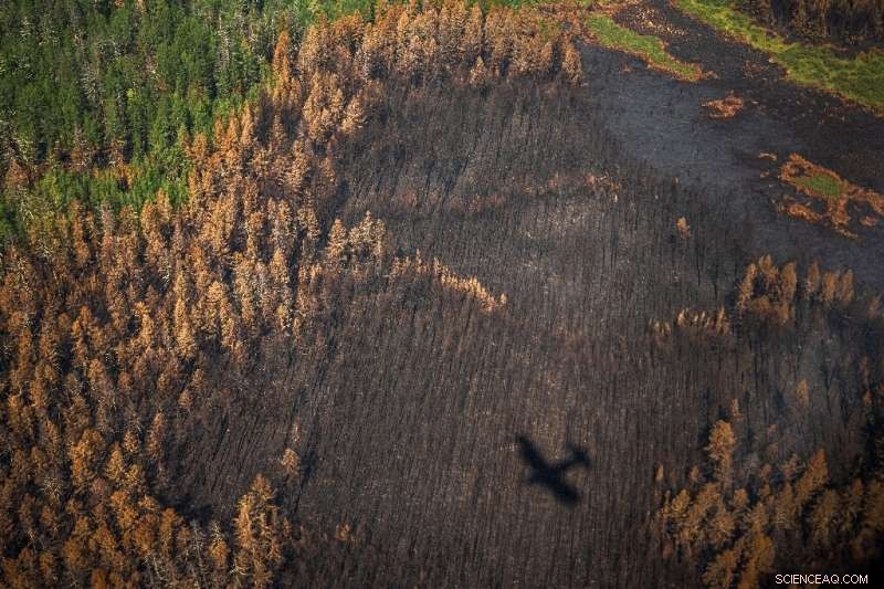 Siberia Battles Wildfires: Volunteers Rally to Protect the Homeland