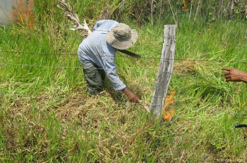 Carbon Emissions Drive Rising Deaths: Exact Mortality Numbers Revealed