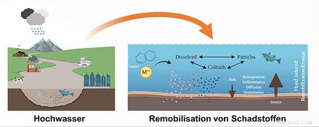 Floods Resuspend Riverbed Toxins, Threatening Water Quality