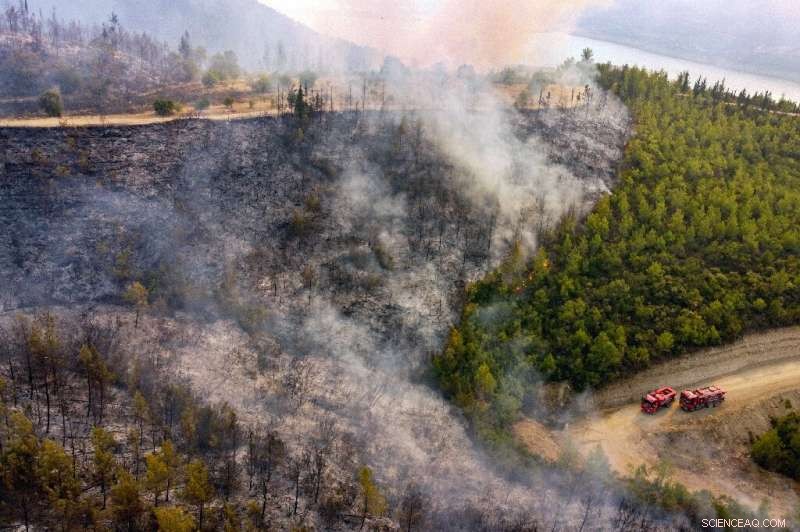 Turkey Wildfires: Eight Fatalities Reported in Latest Outbreak