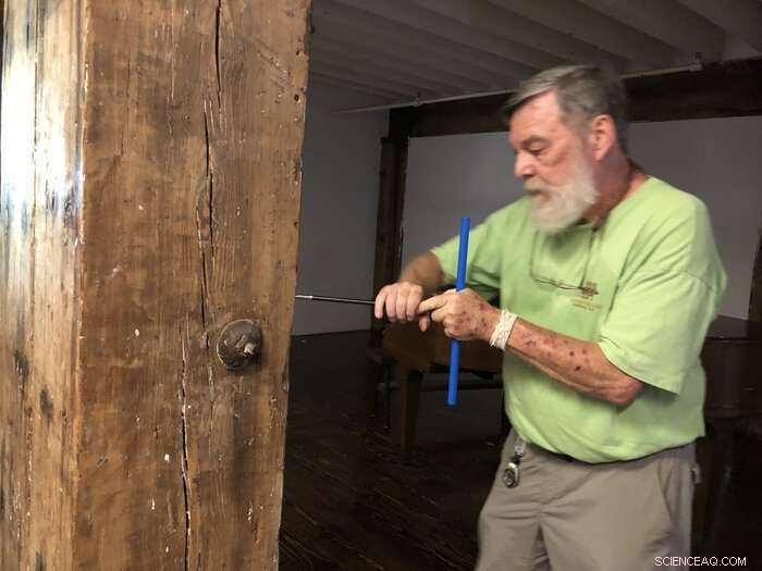 Discover New York City s Secret Old-Growth Forests