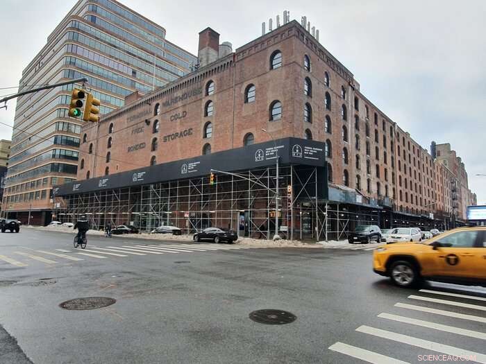 Discover New York City s Secret Old-Growth Forests