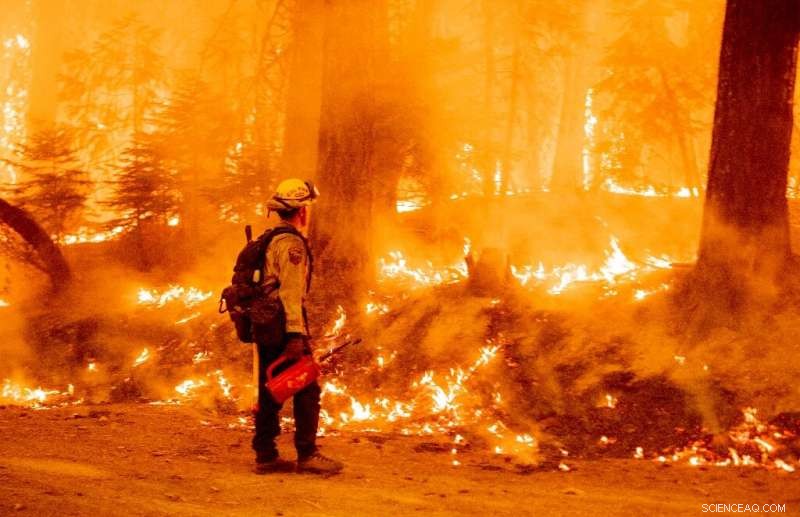 The Slow Rise of Climate Science: Tracing Its Evolution