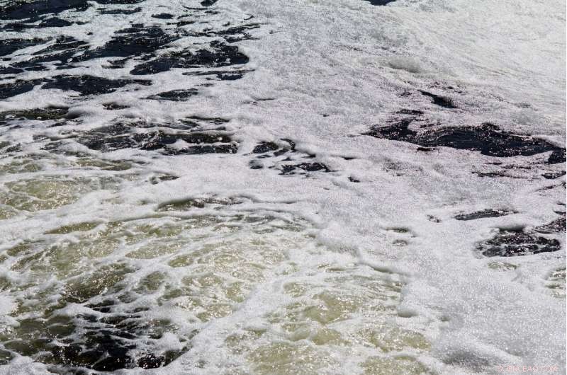 Hyperion Plant’s Ongoing Release of Partially Treated Sewage Threatens Santa Monica Bay