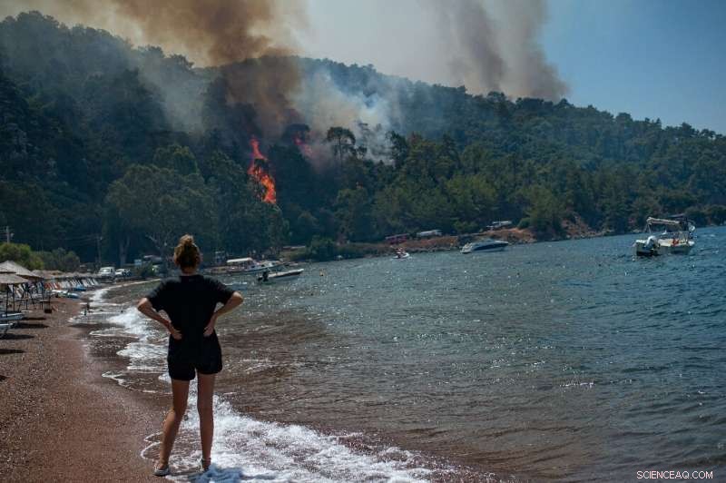 Wildfire Encircles Turkish Power Plant, Heightens Safety Concerns