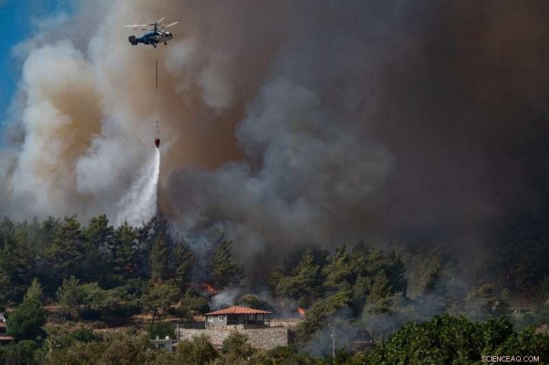 Wildfire Encircles Turkish Power Plant, Heightens Safety Concerns