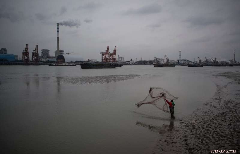 China Set to Unveil Updated Climate Action Plan Soon, Says Climate Envoy