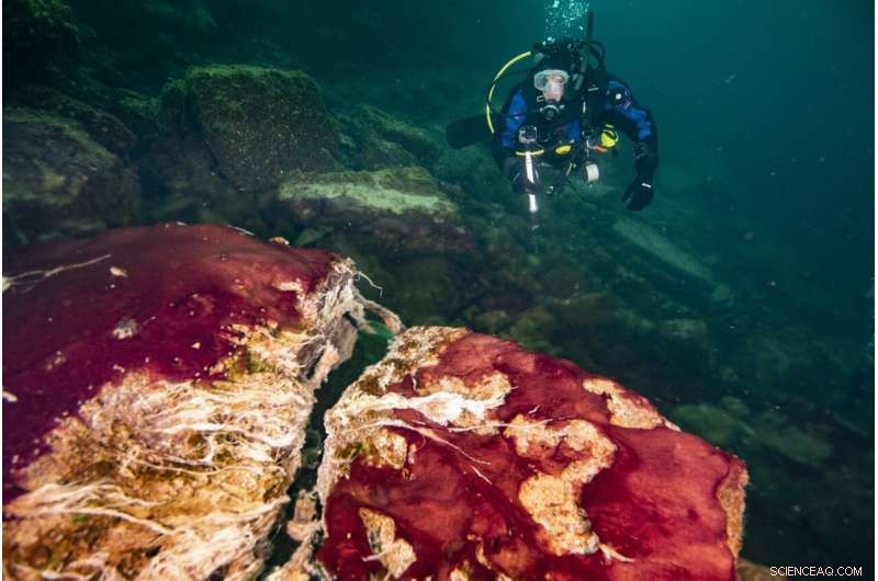 Lake Huron Sinkhole Unveils Early Earth Oxygen Surge Tied to Planetary Rotation Shift