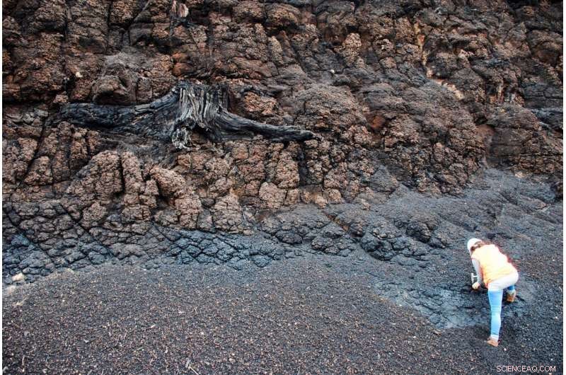 30+ Million-Year-Old CO₂ Drop Drives Earth s Major Climate Shift