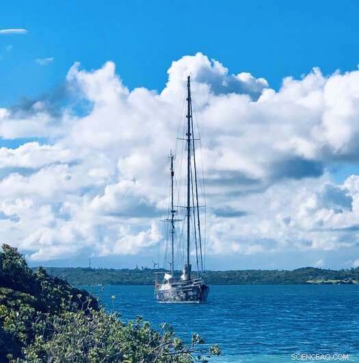 First Comprehensive Assessment Reveals Caribbean Plastic Pollution Levels