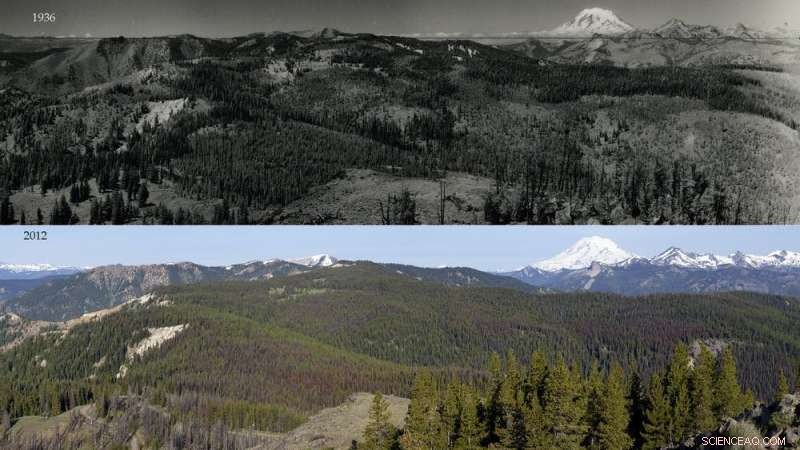 How Long-Term Fire Suppression Fueled Today’s Western Megafires