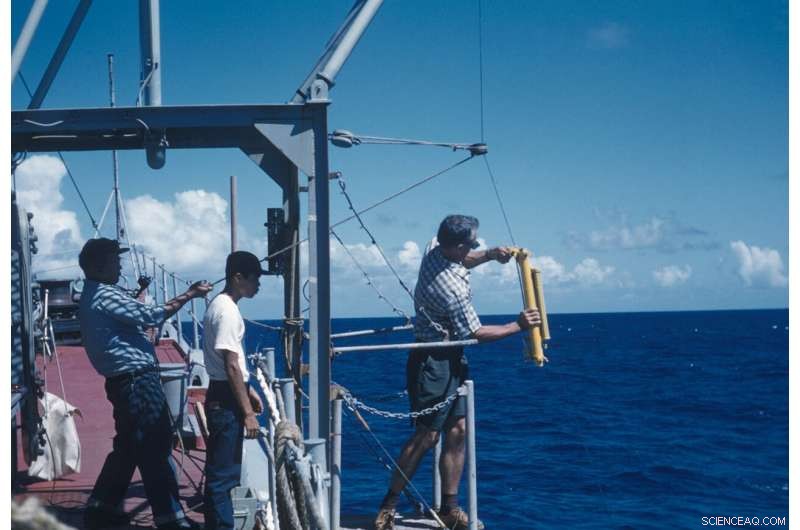 How COVID‑19 Has Reshaped Field Research in Environmental Science