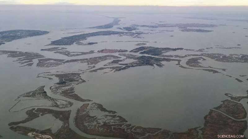 Polarization Dynamics of Northeast Italian Coastal Wetlands (1984‑2016): A Comprehensive Analysis