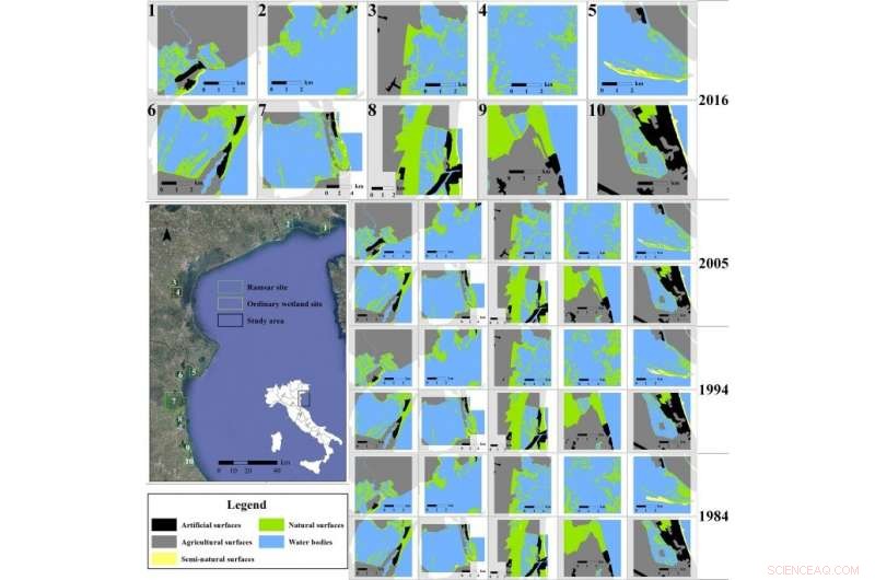 Polarization Dynamics of Northeast Italian Coastal Wetlands (1984‑2016): A Comprehensive Analysis