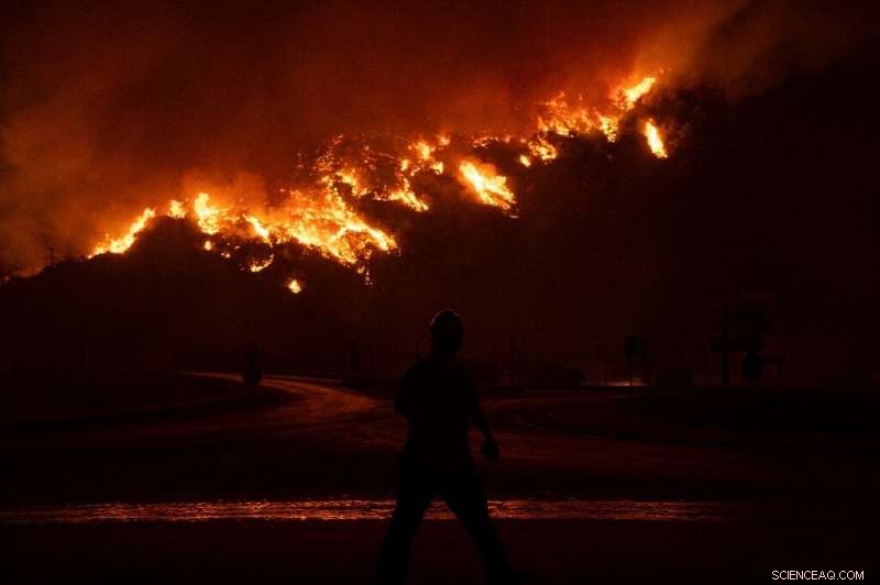 Wildfire Threatens Turkish Aegean Power Plant, Evacuation Ordered