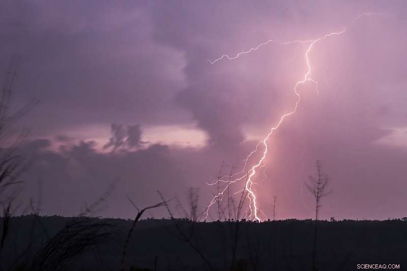Lightning Strike Claims 16 Lives at Bangladesh Wedding